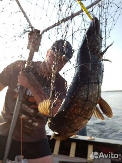 Организация рыбалки