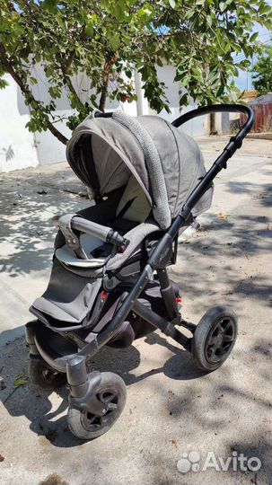 Коляска adamex Barletta 3 в 1