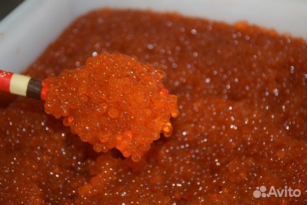 Красная икра оптом горбуша, кета, фолель, кижуч