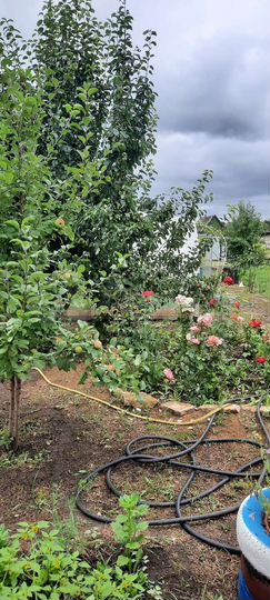 Дача 24 м² на участке 7 сот.