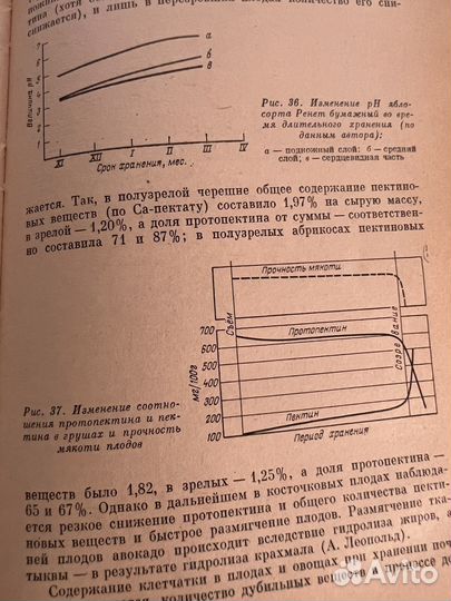 Книга Товароведение плодов и овощей