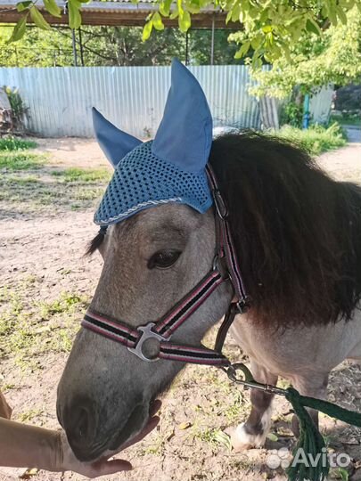 Ушки для лошади