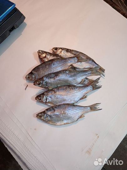 Астраханская вяленая вобла