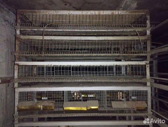 Клетки для перепелов