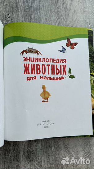 Энциклопедия животных для малышей книга