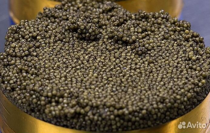 Малосол черная икра