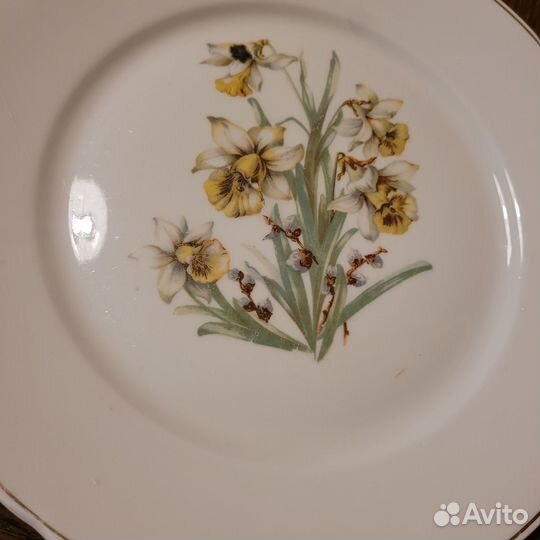 Тарелки Пролетарий мста