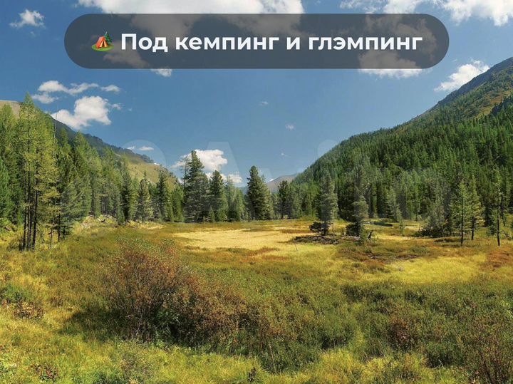 Участок 40 сот. (СНТ, ДНП)