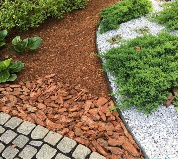 Кора сибирской лиственницы,Кора сосны