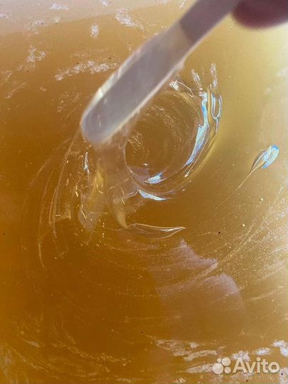 Мёд Лесной оптом