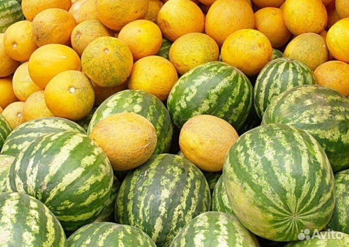 Семена арбуза и дыни