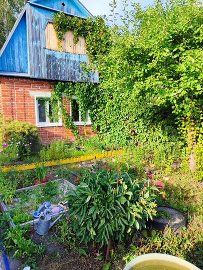 Дом 20 м² на участке 6 сот.