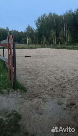 Постой лошадей