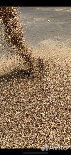 Зерносмесь (гранулированный корм для животных )