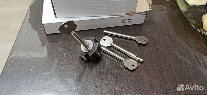 Личинка замка