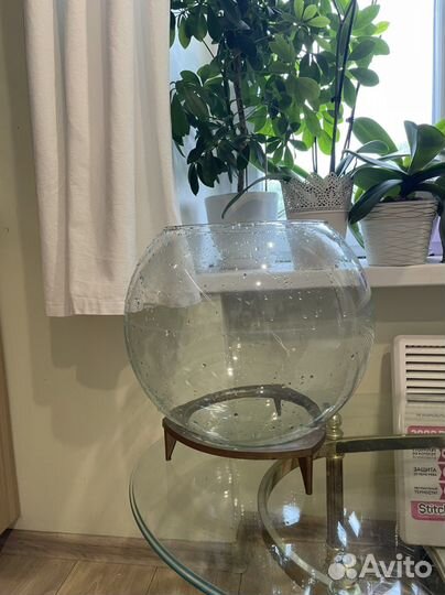 Аквариум круглый