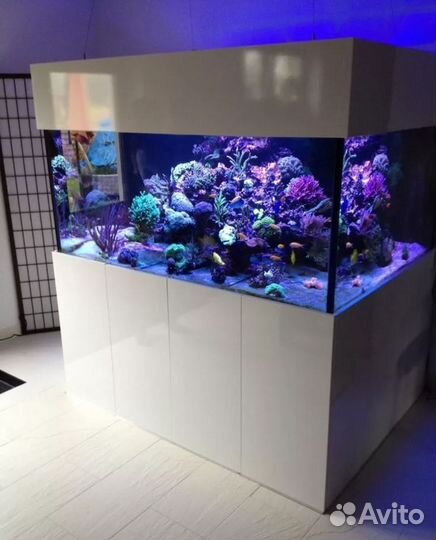 Аквариум для раков и живой рыбы