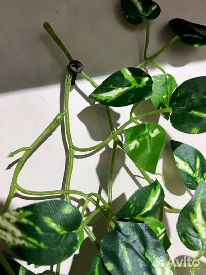 Искусственные растения для декора