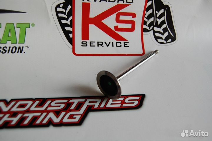 Впускной клапан BRP Can-Am 420254352