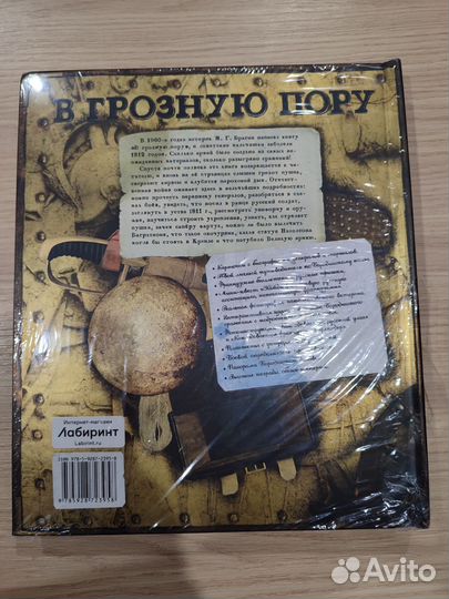 Книга: В грозную пору (с браком #3)