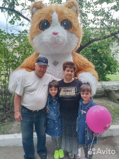 Бурый И белый мишка,кот,панда,горилла И др