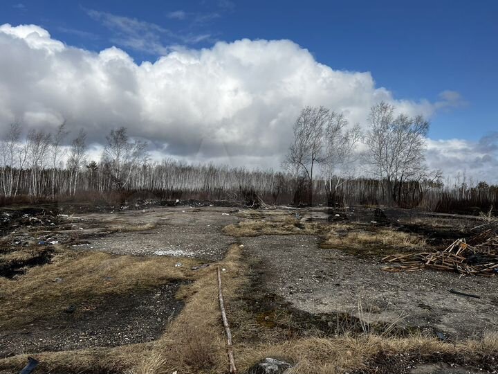 Участок 30 га (СНТ, ДНП)