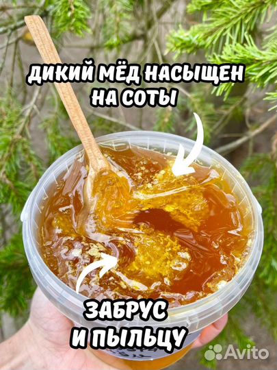 Невкусный Дикий мед