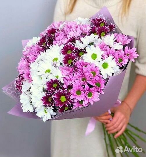 Цветы хризантемы