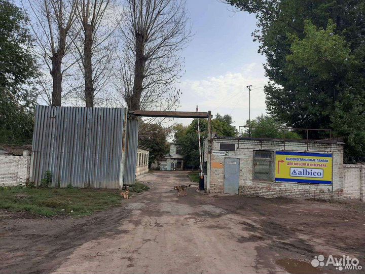 Датчик распредвала Ford Focus 2