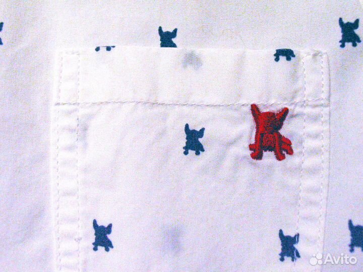 Белая рубашка+шорты BattonBlue д/м рост 116-122