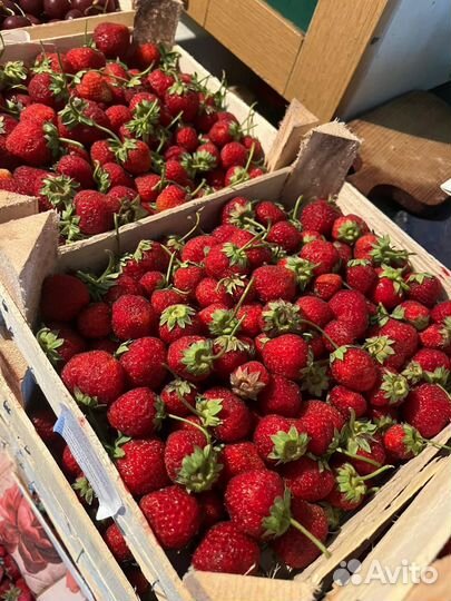 Клубника, малина