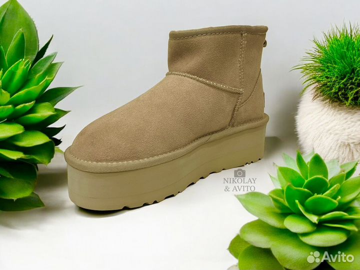 Ugg Classic Mini Platform Chestnut Угги