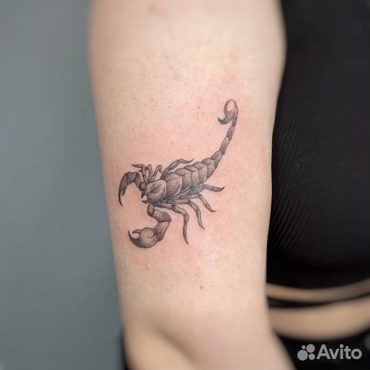 Модель на тату (читайте описание)