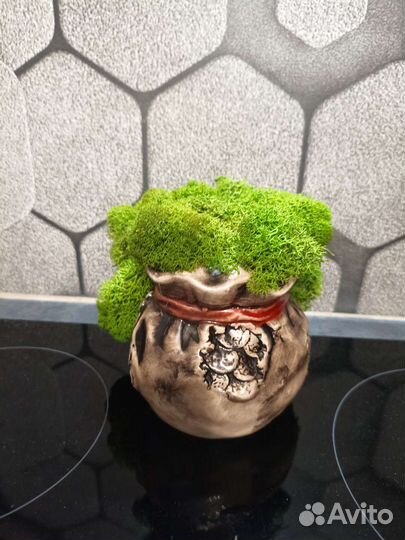 Копилка с мхом