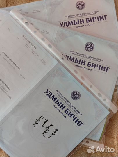 Монгольский Банхар