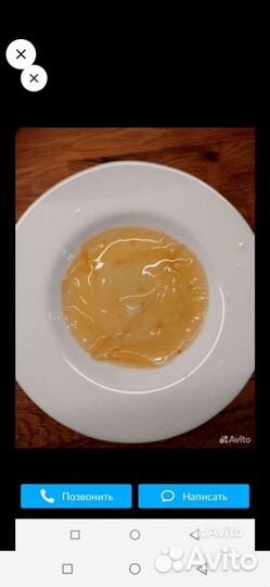 Чайный гриб комбуча