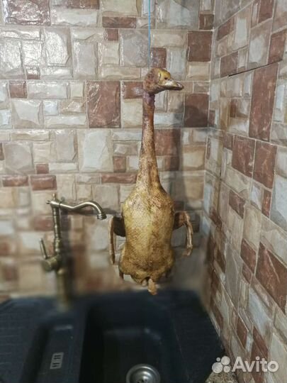 Домашние соления