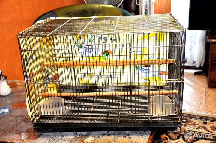 Большая клетка для среднего попугая