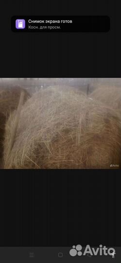 Сено в тюках