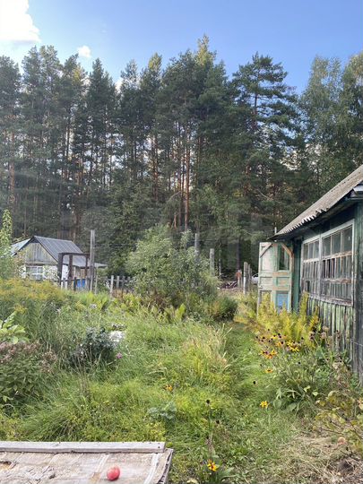 Участок 7 сот. (СНТ, ДНП)
