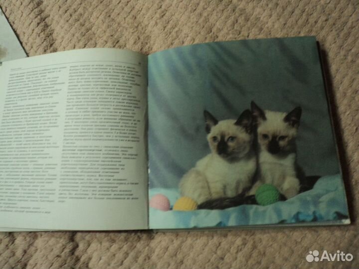 Мой ласковый и нежный зверь (1992).Кошки