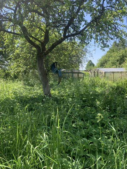 Участок 15 сот. (ИЖС)