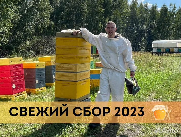 Мёд свежий из Башкирии