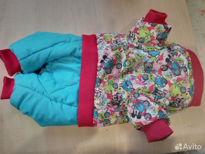 Зимний комбинезон на мелкую собаку