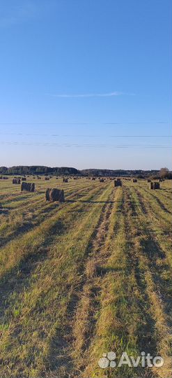 Сено в рулонах 2024