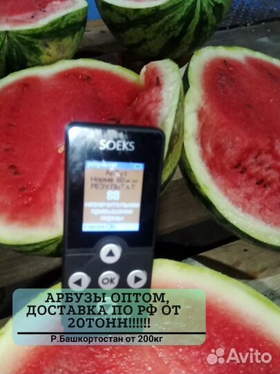 Арбузы оптом от 20 тонн