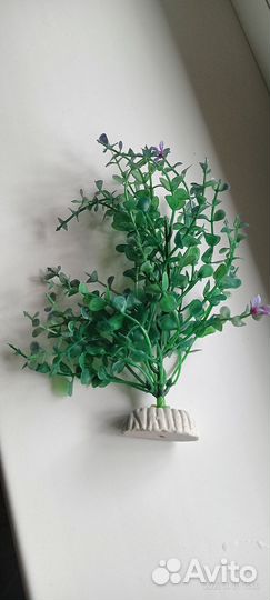 Искусственные растения