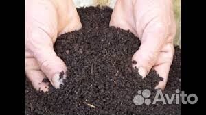 Перегной конский, крс, чернозем,земля,шебень,торф