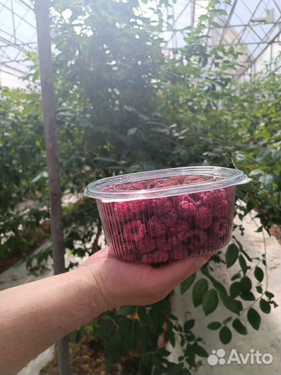 Сублимированная малина цельная, выпечка,смузи