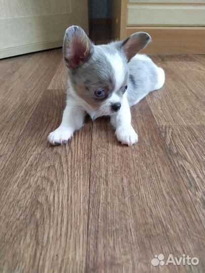 Космический мальчик